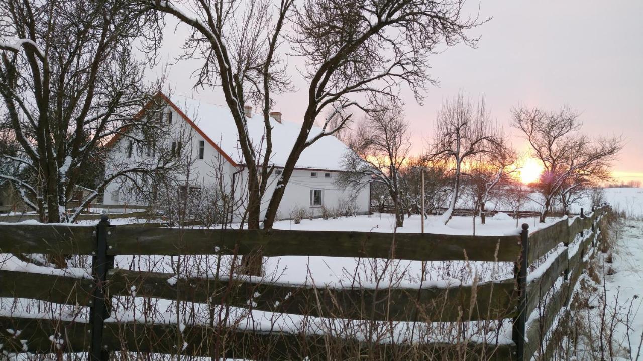 Zakatek Szczescia Eko Agroturystyka Kiwity Exterior photo